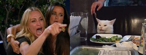 cat meme lady yelling|lady arguing with cat meme.